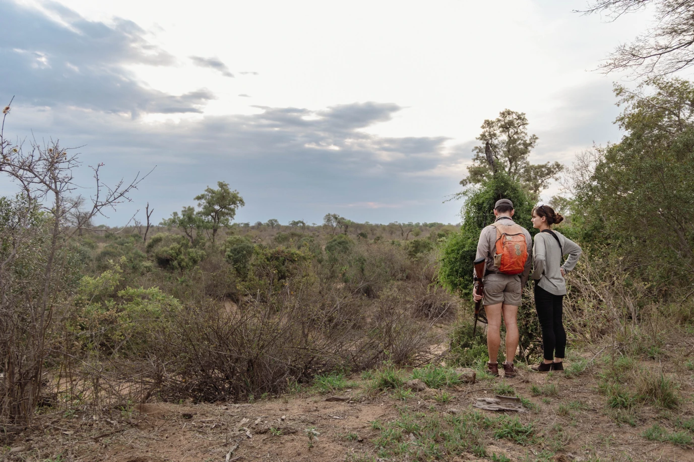 2025_12_bateleur_walking_safari_54