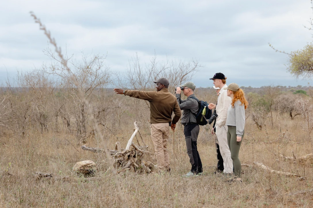 2025_12_bateleur_walking_safari_33_1 (1)