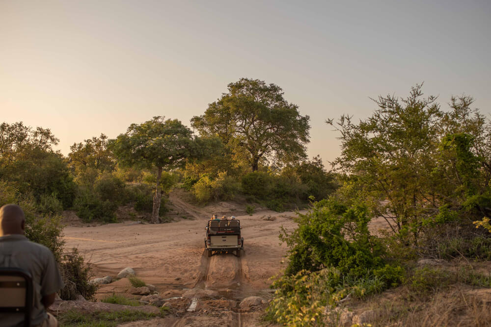 A safari vehicle crosses the riverbed