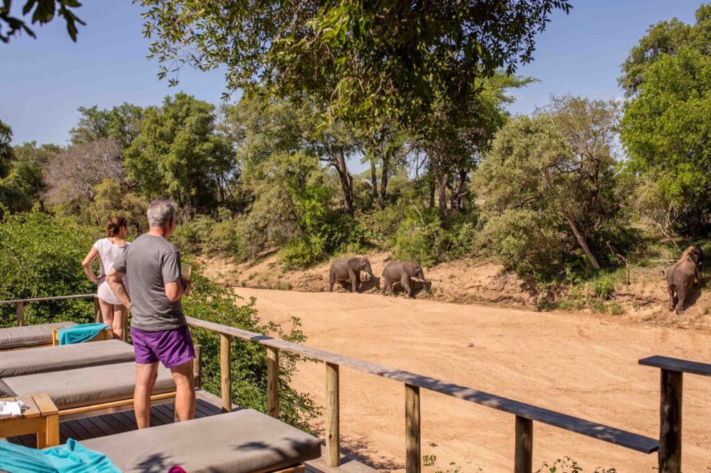 Guests on the Bateleur Safari Camp deck watching elephants in the dry riverbed below