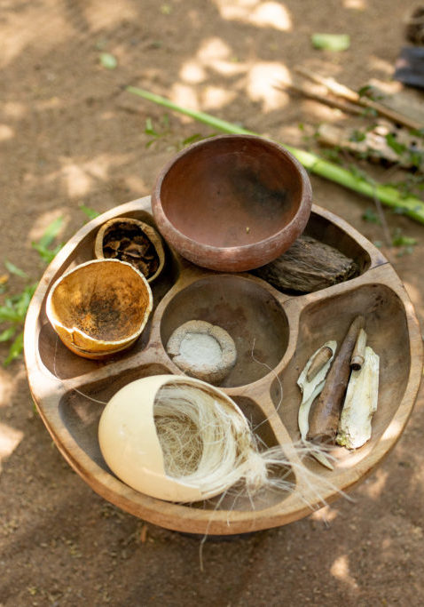 Some of the natural resources found in the African bush