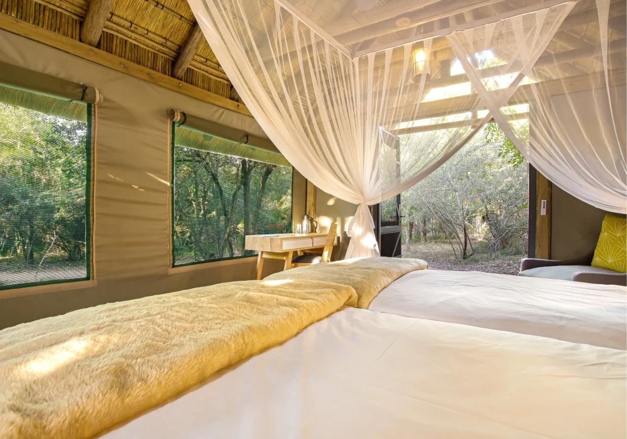 2021_07_bateleur_bateleur_safari_camp_accommodation5_005_1