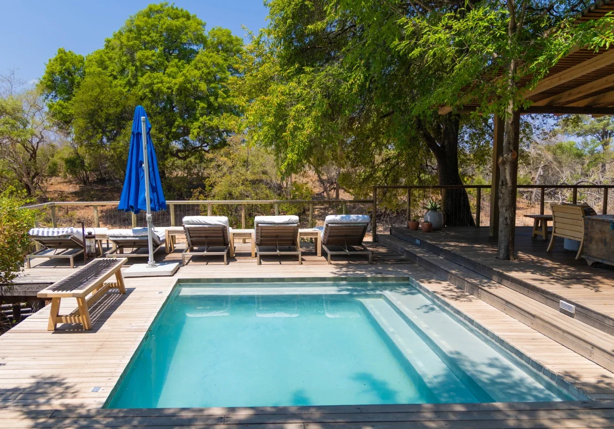 2025_12_bateleur_camp_style_21_1 (1)