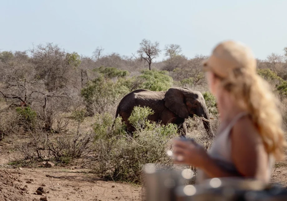 2025_12_bateleur_driving_safari_28_1 (1)